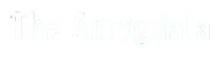 The Amygdala