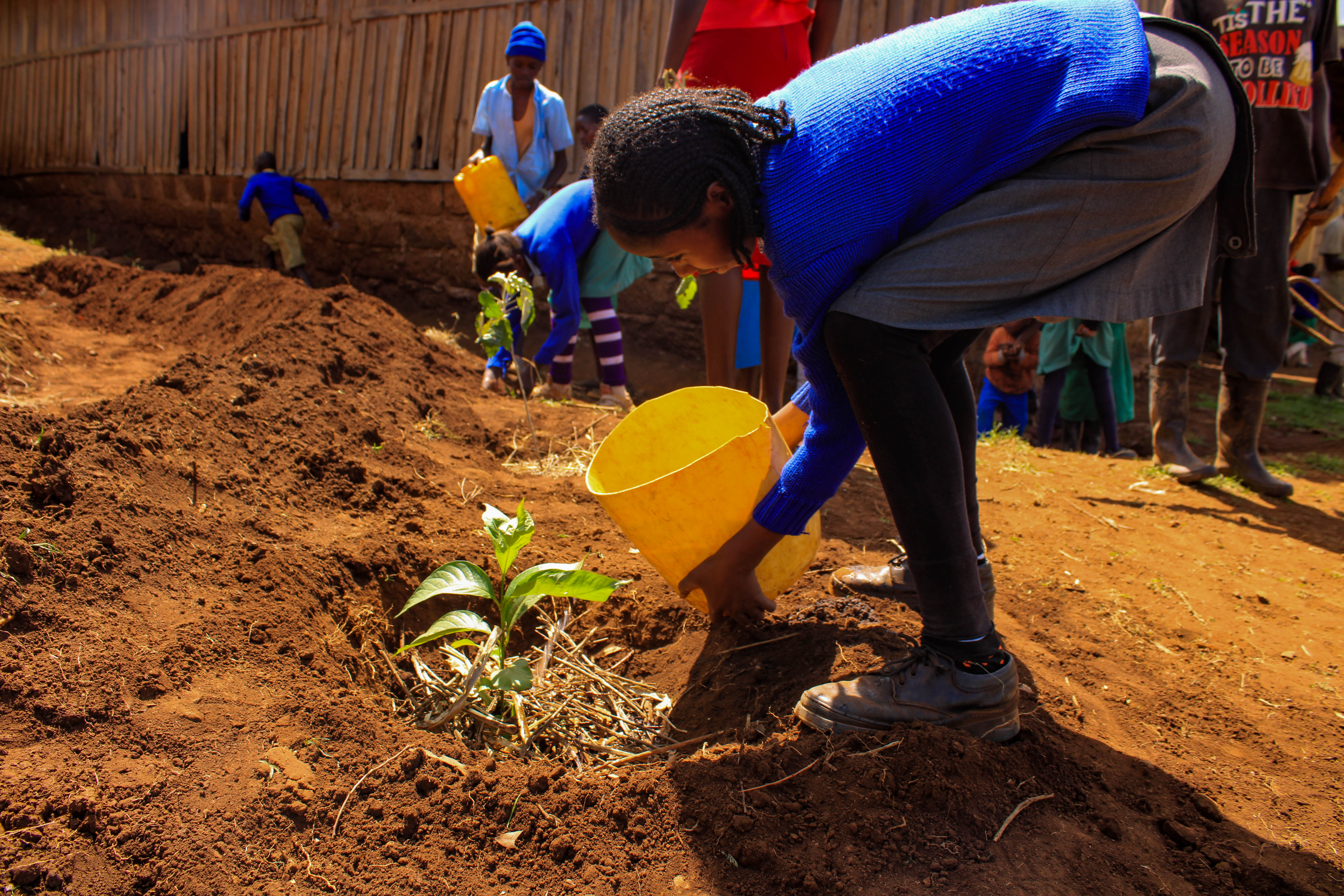 __wf_reserved_inherit